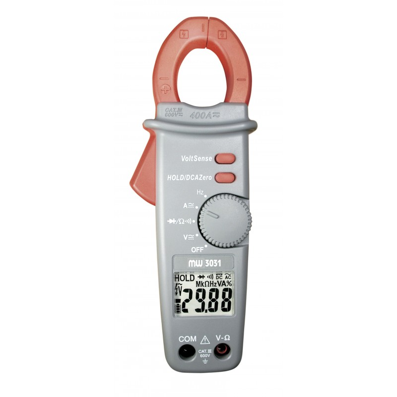 Mw 3031